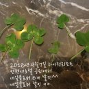 더브러컴퍼니