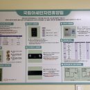 2796 | 양주 숙소: 국립 아세안 자연휴양림 캄보디아 숙소 내돈내산 후기