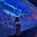 아라뷰티 이미지