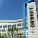 신자산어보