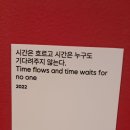 서울대학교 미술관 [도상의 추상 - 세속의 길에서 추상하다] (1/2) 이미지