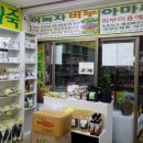 천기초약초백화점 네이버블로그