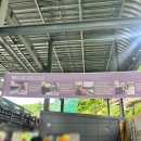 골라 게임랜드 이미지