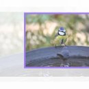 오렌지마취통증의학과의원 이미지