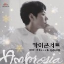 카이콘서트 Ambrosia 이미지