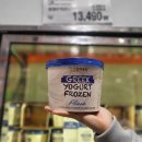 아이스크림 | 코스트코 상하목장 그릭요거트 프로즌 | 대용량 요거트 아이스크림 후기