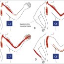 동서연합의원 이미지