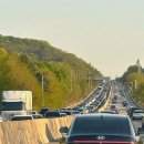 멜로테일 이미지