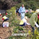 칠보농협산내지소 이미지