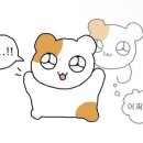 사색연희