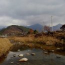 림의 집 이미지