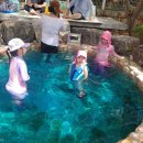 백송온천관광호텔 이미지