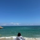 인경목장 | [강원도여행] / 대관령양떼목장,엄지네포장마차,갤러리밥스,횡성한우