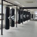 조치원 세종복싱클럽 이미지