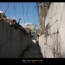 한국삼일상사 이미지