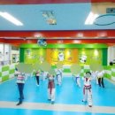 늘푸른태권스쿨 이미지
