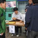 30차 재부 예천군민회 구덕운동장 행사. 이미지