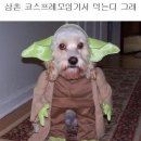 엄마밥도 이미지