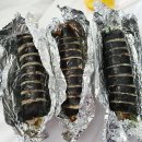 오는정김밥