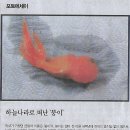 한양대학교 법학전문대학원 이미지