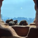 서울영등포경찰서어린이집 | 주렁주렁 영등포 타임스퀘어점, 5살 아이랑 3시간 놀고온 솔직후기