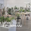 소만 | 잠실 식물 선물 추천! 작은 숲 같던 플랜트 스튜디오 '소만(soman)' 수박페페 후기
