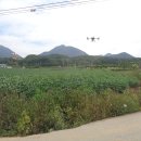 강남농약 이미지