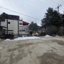 하릅펜션 | 가평 애견 펜션 하릅 104호 반려견과 힐링 여행 후기