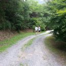 골안민박 이미지