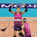 흥국생명 이미지