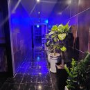 봉곡동150 이미지