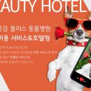 건강하게 동물병원 이미지