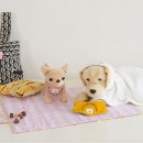 부라더소잉팩토리 - 성남시 분당구 동판교로52번길 22-9 | 부라더소잉팩토리