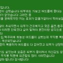 꾸지뽕(구지뽕)을 먹고 여드름이 싹 없어졌어요~^^ - 꾸지뽕(구지뽕)의 효능 및 먹는법 후기...