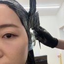 역삼-1333 | 마이오헤어역삼점 마이오헤어선경쌤 커트컨설팅 퍼스널컨설팅 받고 레이어드 변신후기