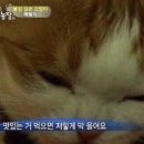 면천갈비