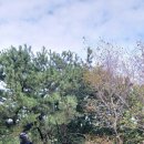 구평동-2 이미지