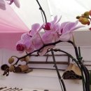 마음의 문 이미지