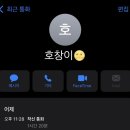 호창투어