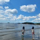 몽산포자동차야영장 | 꽃게가 지천에! 5월 황금물때 몽산포 해루질 아이와 함께한 후기 &amp; 주차 꿀팁