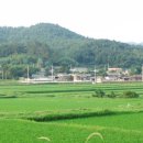 조경연 생가 이미지