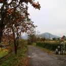 반도여관 이미지