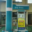 제주남원농협주유소 | [제주 4차 34] 서귀포 남원 한달 살기에서 유용하게 활용할 수 있는 생활속 꿀팁