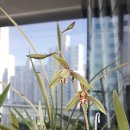 제주사계 이미지