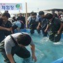 신노량 이미지
