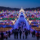 푸른별비행사 민박 | 겨울방학 아이와 가볼한 곳, 2026년 아침고요수목원 별빛정원전 실제 후기