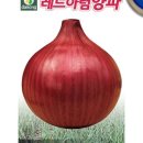(주)다농 이미지