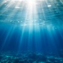 SEA & STAY 이미지