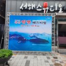 새만금군산충전소 | 2023군산시간여행 다녀온 뒤늦은 후기