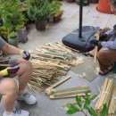 고분양태 이미지